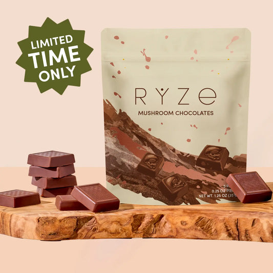 Mushroom Chocolates Rye (15 pieces) - J5TF