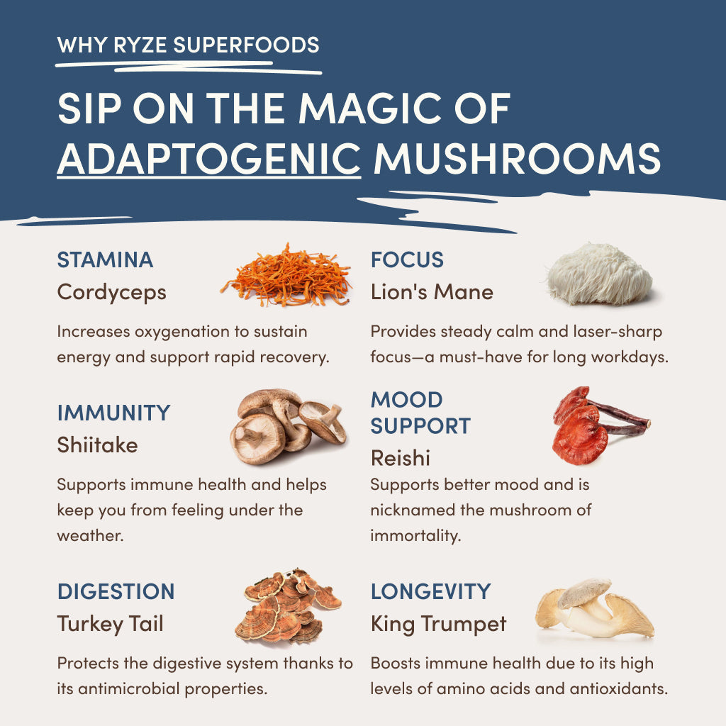 RYZE Nighttime Mushroom Cocoa Starter Bag - HD31