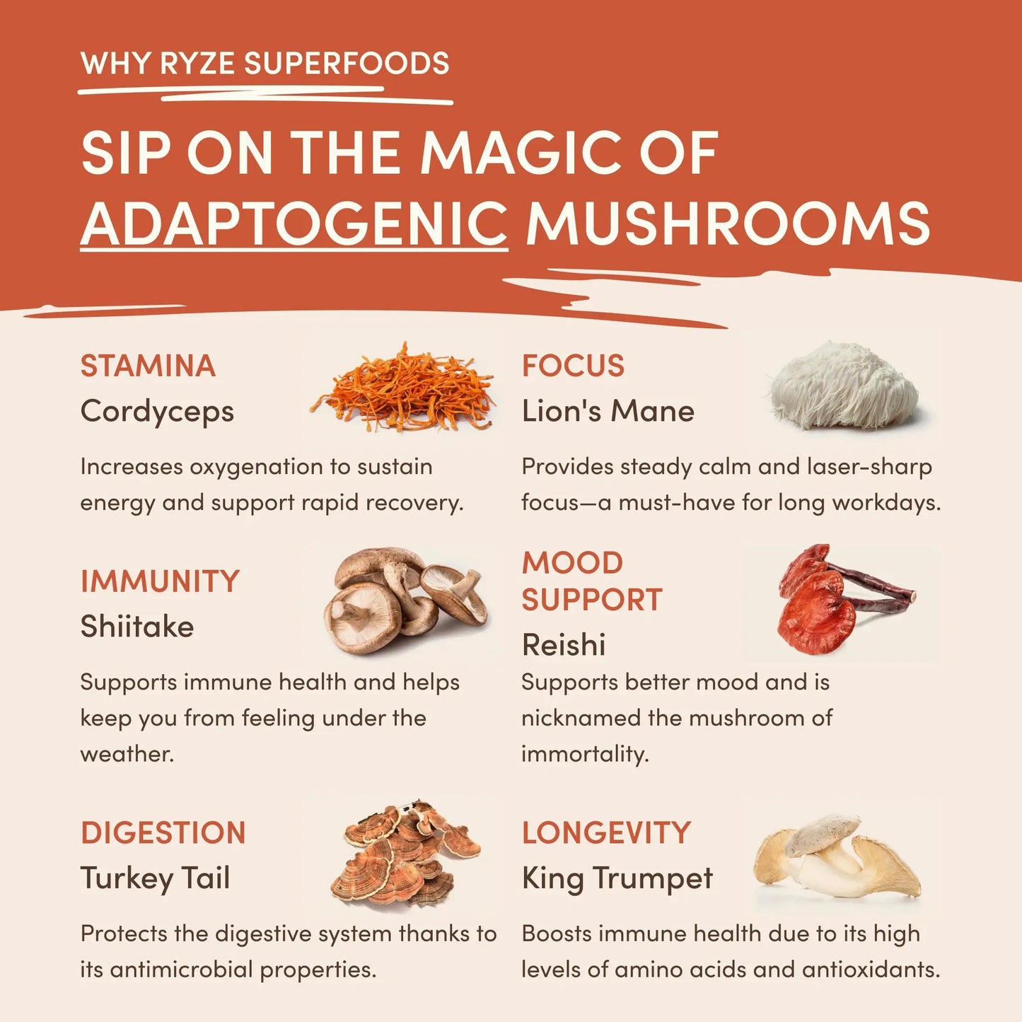 Mushroom Coffee (1 pack - 30 Servings) - 7C4Y
