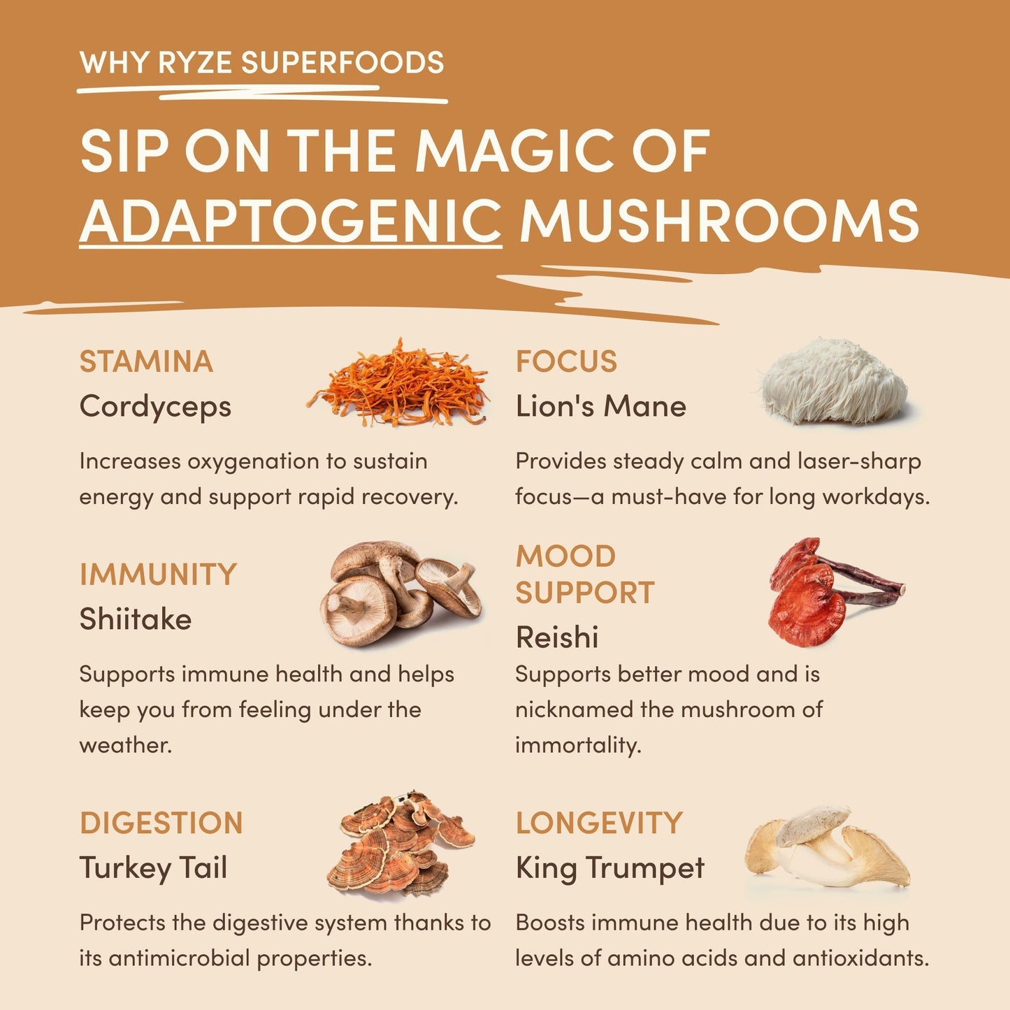 Mushroom Overnight Oats (14 Servings) - 39RX