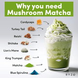 RYZE Organic Mushroom Matcha Starter Kit (60 servings) - FEAA