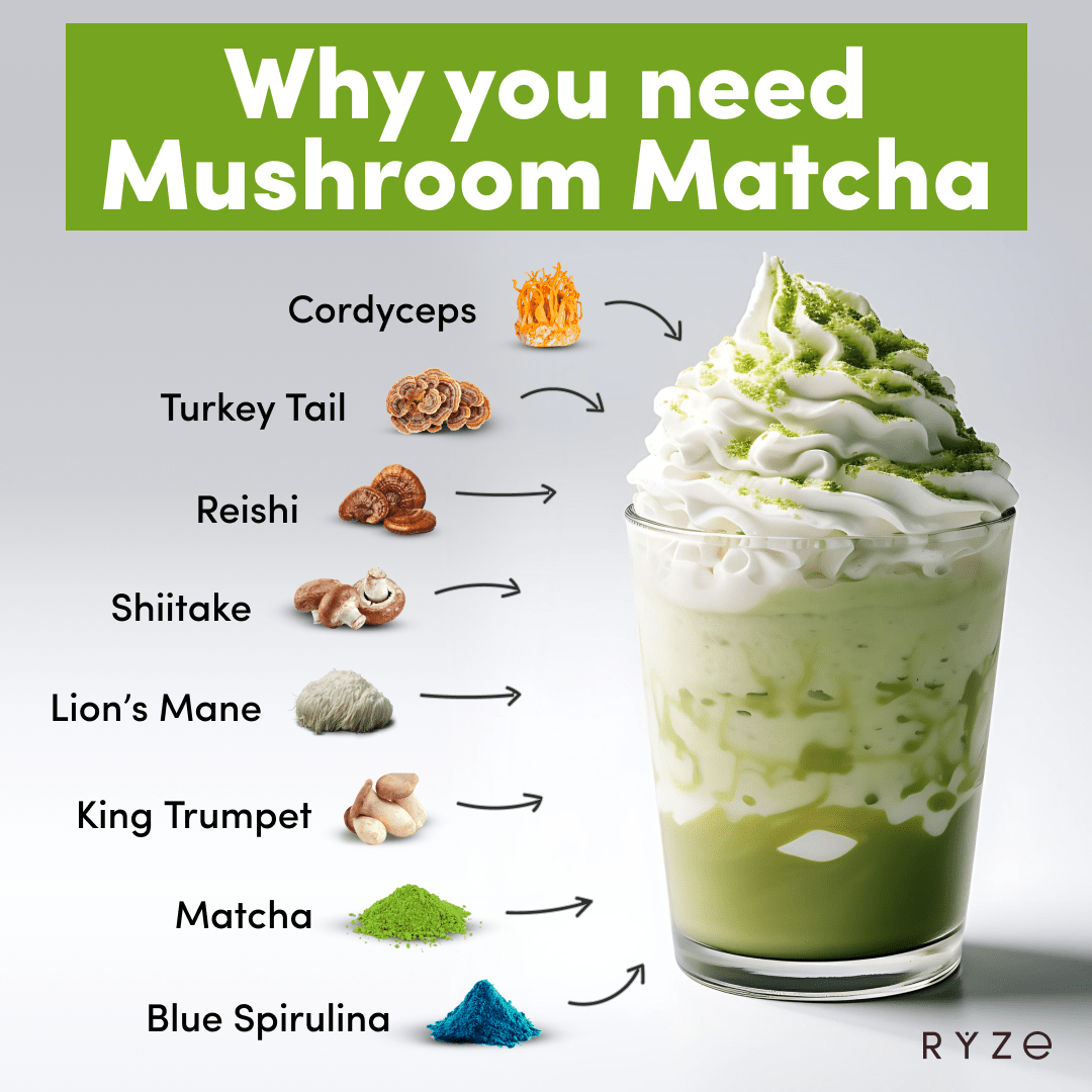 RYZE Organic Mushroom Matcha Starter Kit (60 servings) - FEAA