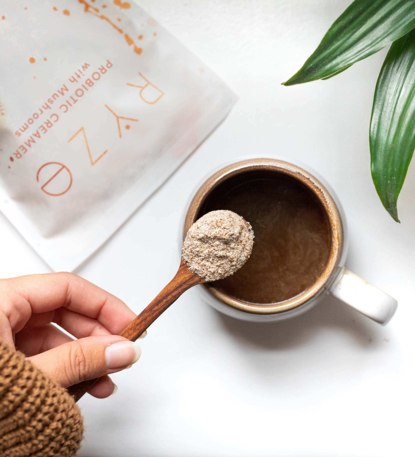 Try our Probiotic Creamer for 50% OFF! - NNXT